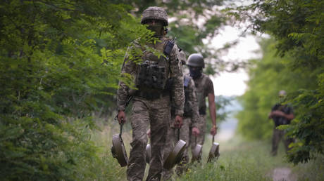 Ukraine’s attack may be imminent – DPR