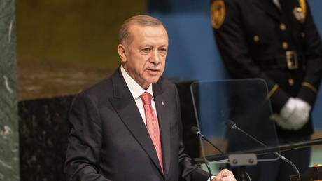 World should talk to Putin and Zelensky – Erdogan