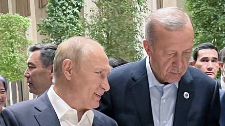 Prisoner requested by Putin sent to Russia – Erdogan