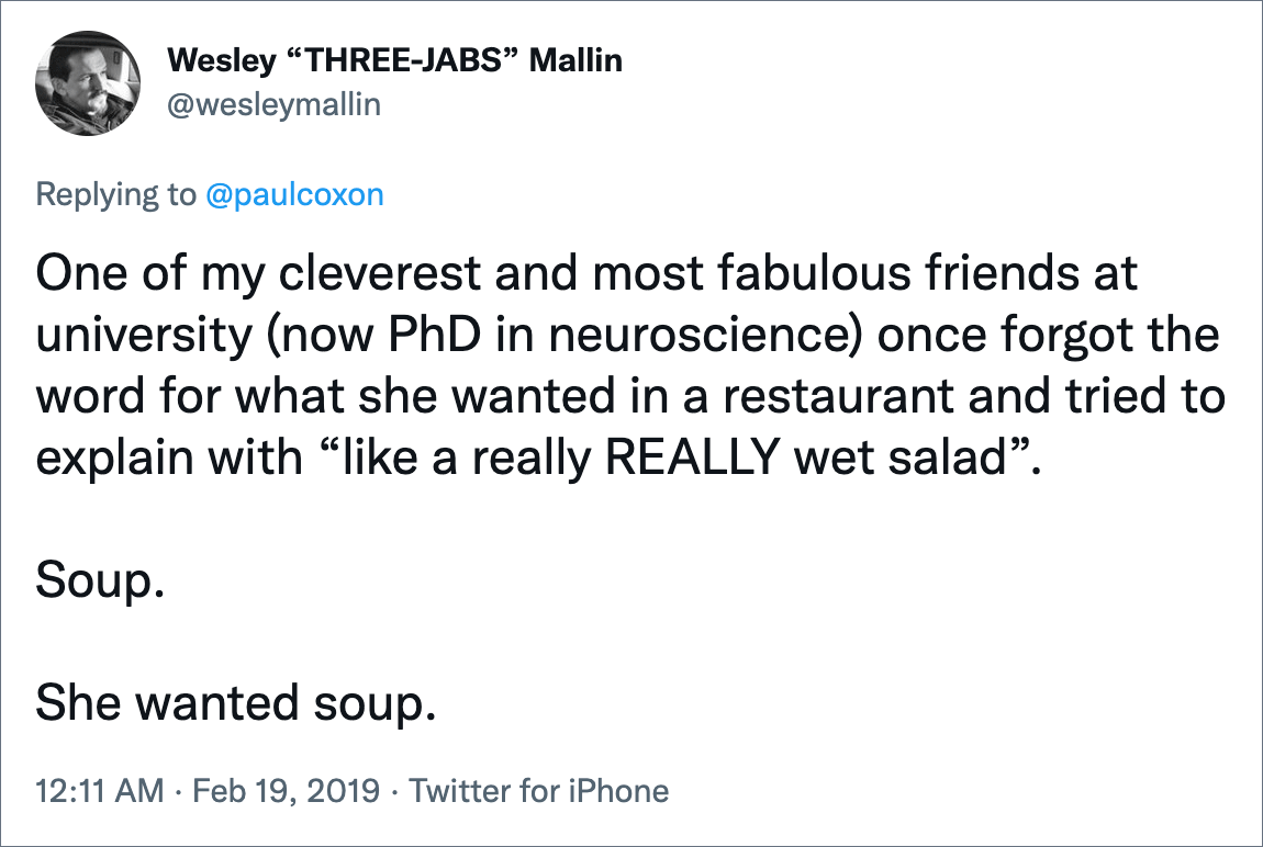 One of my cleverest and most fabulous friends at university (now PhD in neuroscience) once forgot the word for what she wanted in a restaurant and tried to explain with “like a really REALLY wet salad”. Soup. She wanted soup.