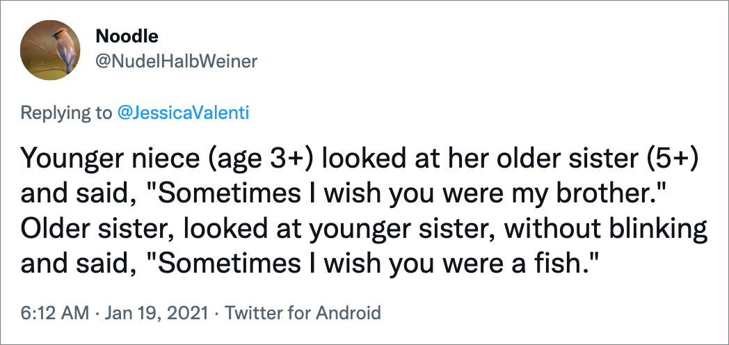 Younger niece (age 3+) looked at her older sister (5+) and said, "Sometimes I wish you were my brother." Older sister, looked at younger sister, without blinking and said, "Sometimes I wish you were a fish."