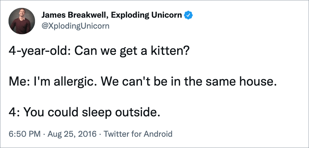 Can we get a kitten?