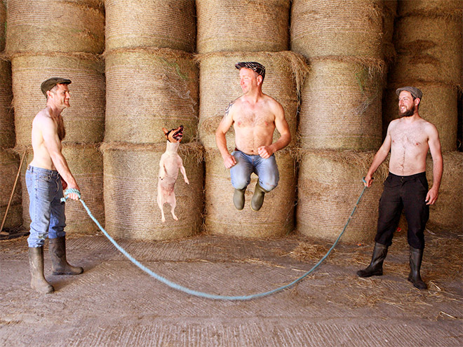 A photo from Irish farmer calendar.