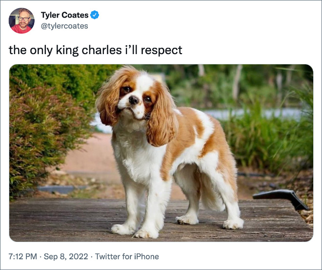the only king charles i’ll respect
