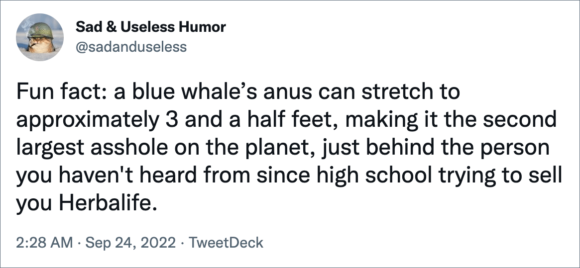 Fun fact: a blue whale’s anus can stretch to approximately 3 and a half feet, making it the second largest asshole on the planet, just behind the person you haven't heard from since high school trying to sell you Herbalife.