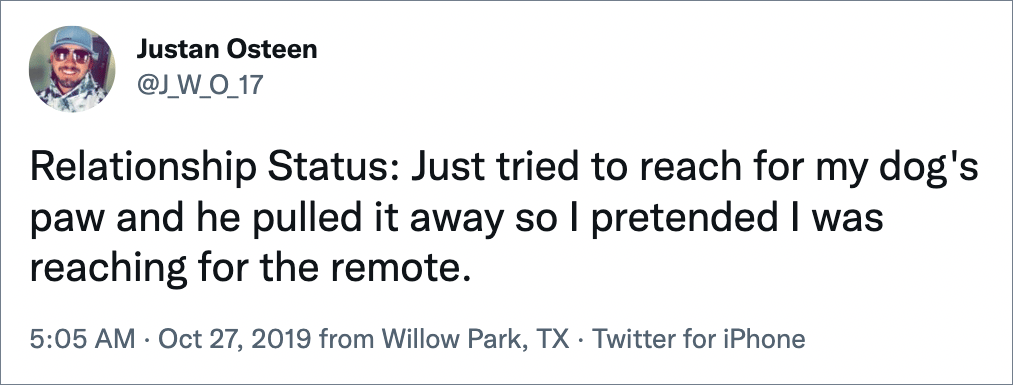 Relationship Status: Just tried to reach for my dog's paw and he pulled it away so I pretended I was reaching for the remote.