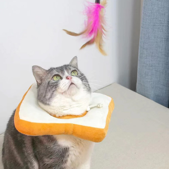 Slice of bread cat cone.