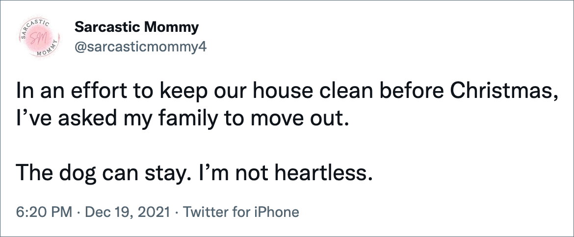 In an effort to keep our house clean before Christmas, I’ve asked my family to move out. The dog can stay. I’m not heartless.