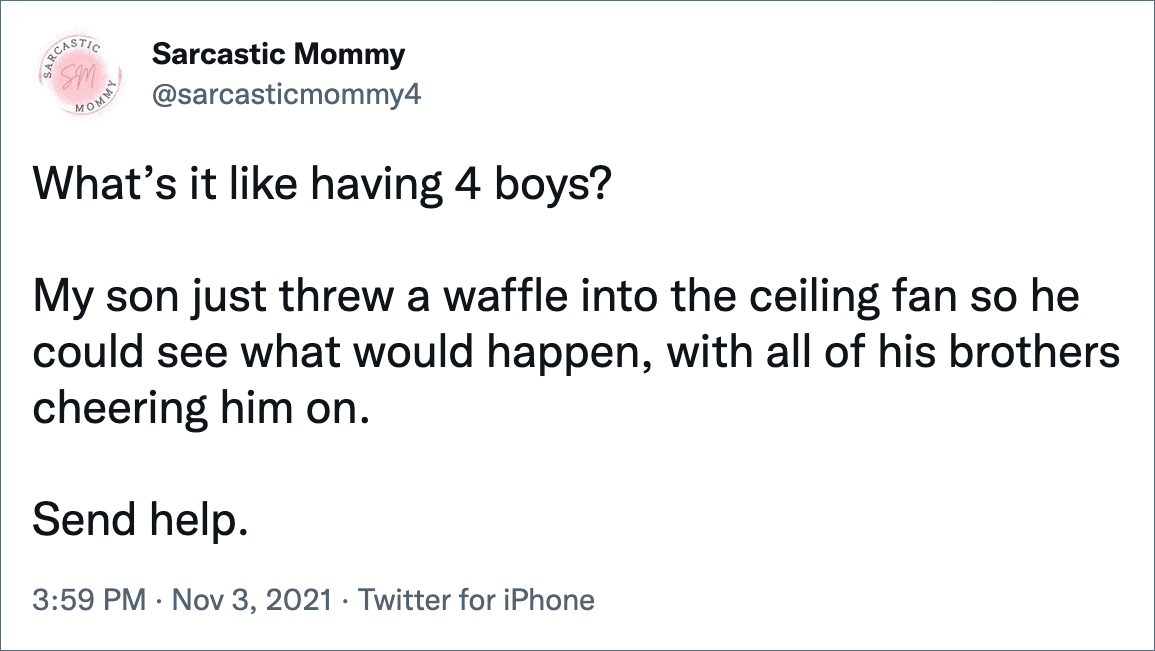 What’s it like having 4 boys? My son just threw a waffle into the ceiling fan so he could see what would happen, with all of his brothers cheering him on. Send help.