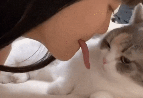Licking cat with fake tongue.