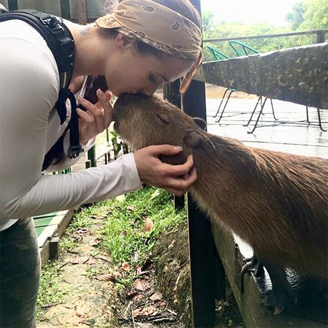 Capybaras are friendly with everyone!