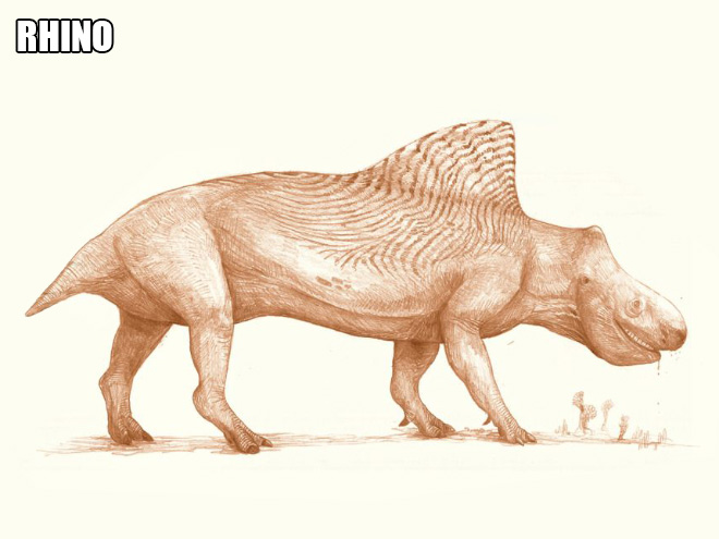 Rhinodino.