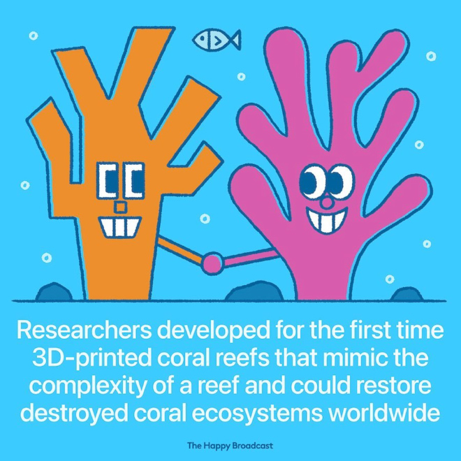 The 3D process begins by scanning underwater photographs of coral reefs. From this visual information, a three-dimensional model of the reef is assembled with maximum accuracy. The final stage is the translation and production of a ceramic reef in 3D printing. The reefs are made of a unique ceramic that is naturally porous underwater and provides the most ideal construction and restoration needs to the affected area. The scientists say the model can be adapted to help curb reef devastation plaguing coral ecosystems around the globe.