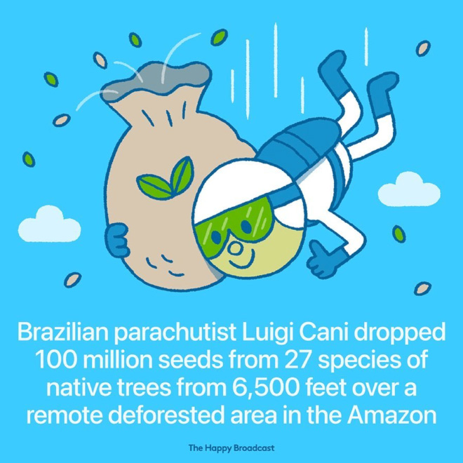 The Brazilian skydiver Luigi Cani executed one of the most important jumps of his life in the Amazon. On this occasion he took more than 100 million seeds – from 27 species of trees native to the local biome – to a remote deforested area in the heart of the Amazon region. The seeds collected for the project have a germination rate of over 95% and do not require human intervention to germinate, so in a few years we will see the fruits of this unprecedented action.