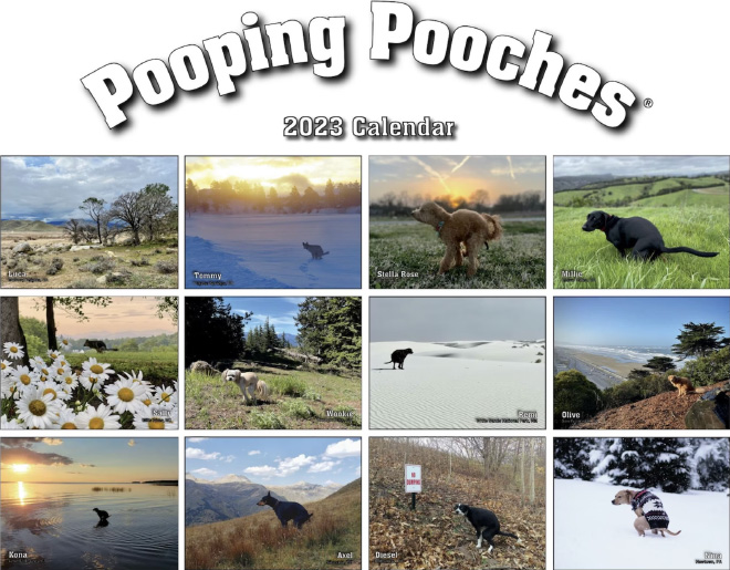 Pooping Pooches 2023 calendar.