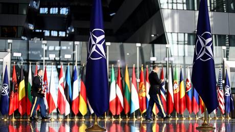 Türkiye puts NATO expansion on hold – media
