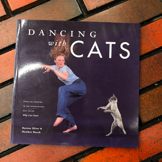 Dancing with cats.