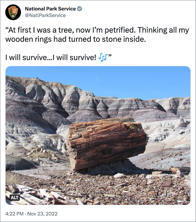 “At first I was a tree, now I’m petrified. Thinking all my wooden rings had turned to stone inside. ⁣ I will survive...I will survive!