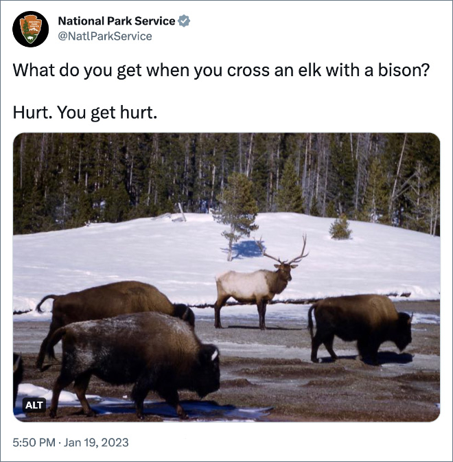 What do you get when you cross an elk with a bison? ⁣ ⁣ Hurt. You get hurt. ⁣