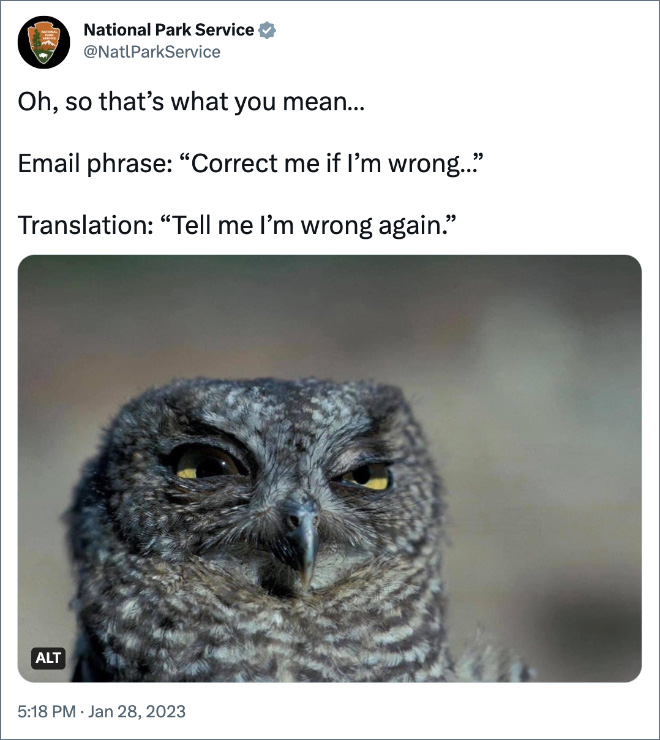 Oh, so that’s what you mean… Email phrase: “Correct me if I’m wrong…” Translation: “Tell me I’m wrong again.”