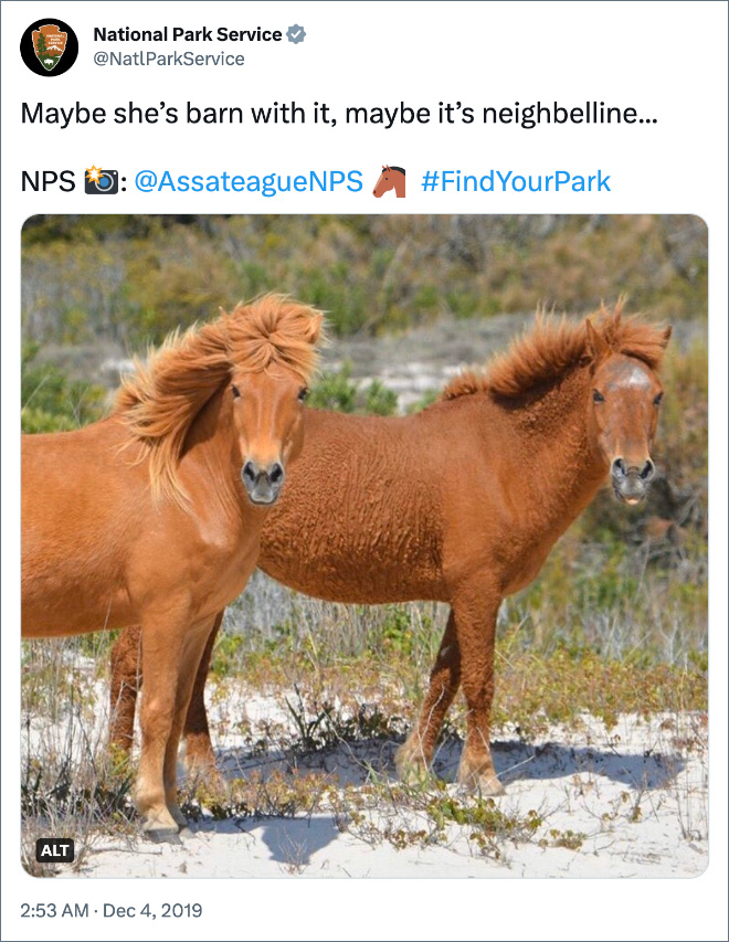 Maybe she’s barn with it, maybe it’s neighbelline...