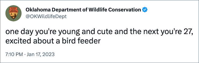 one day you're young and cute and the next you're 27, excited about a bird feeder