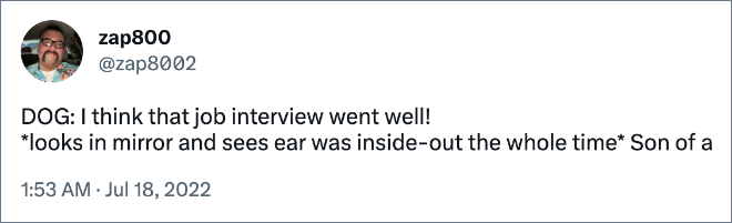 DOG: I think that job interview went well! *looks in mirror and sees ear was inside-out the whole time* Son of a