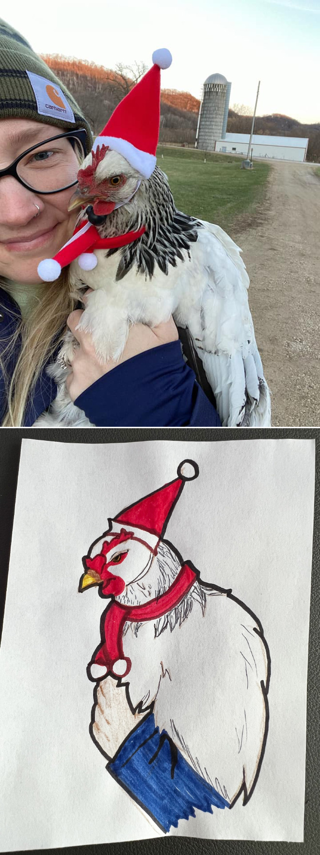 Poorly drawn chicken.