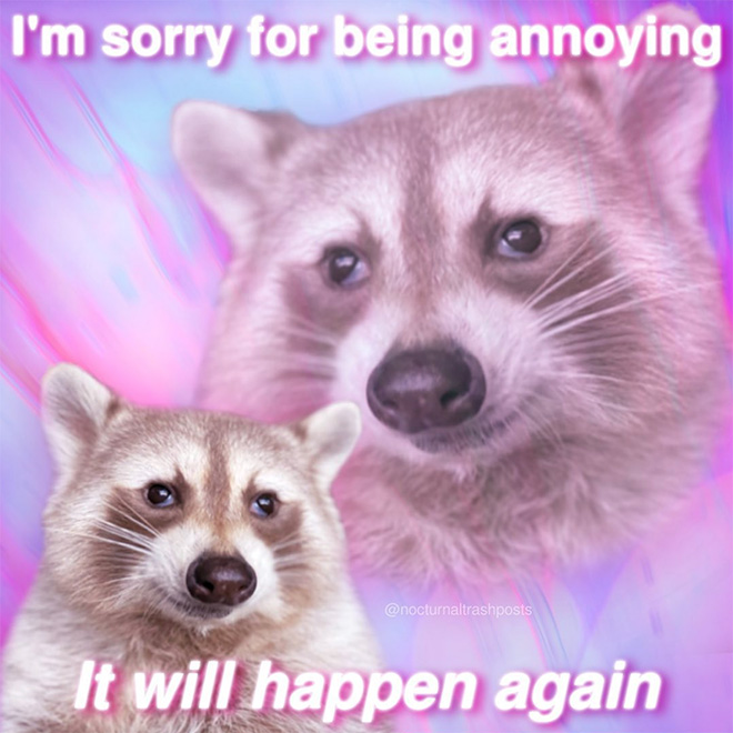 Raccoon memes is the best way to get your message across.