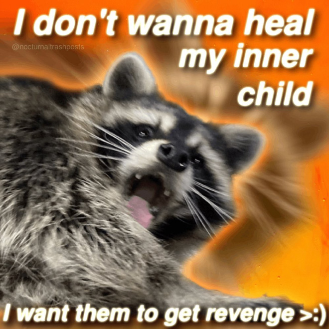 Raccoon memes is the best way to get your message across.