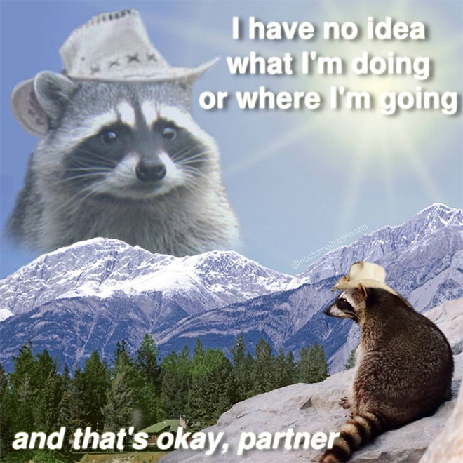 Raccoon memes is the best way to get your message across.