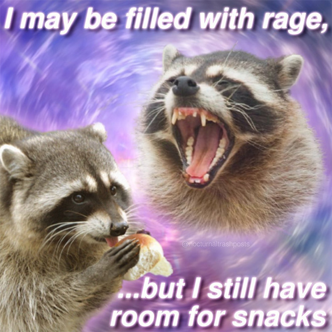 Raccoon memes is the best way to get your message across.