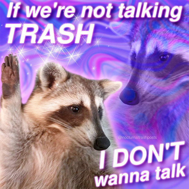 Raccoon memes is the best way to get your message across.