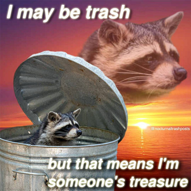 Raccoon memes is the best way to get your message across.