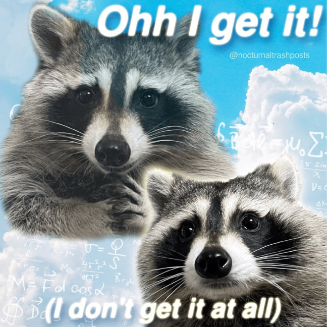 Raccoon memes is the best way to get your message across.