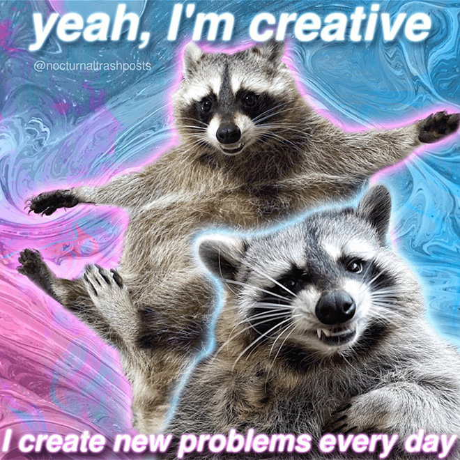 Raccoon memes is the best way to get your message across.