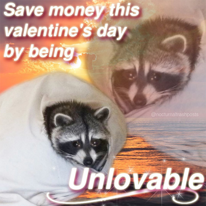 Raccoon memes is the best way to get your message across.