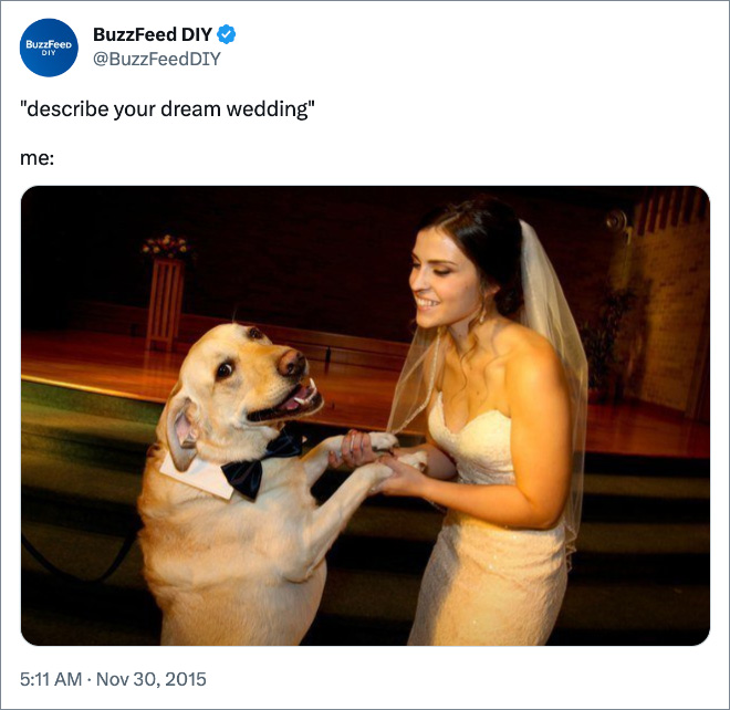 "describe your dream wedding" me: