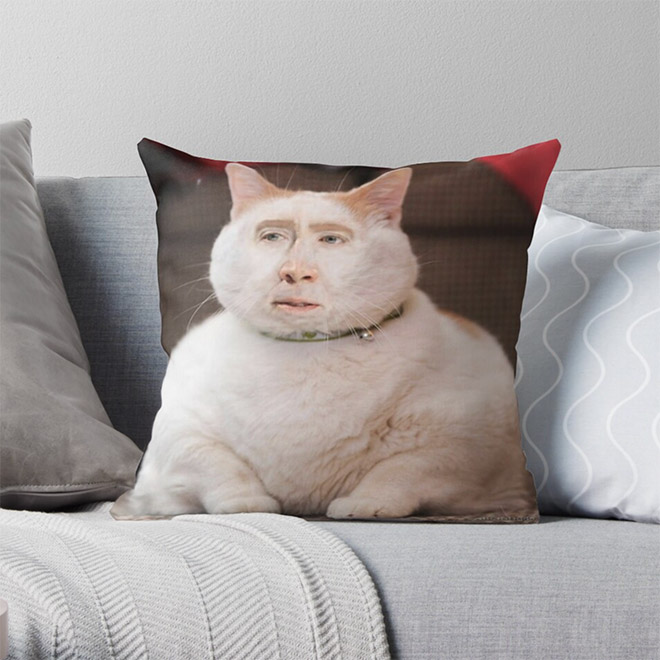 Nic Cage Cat pillow.