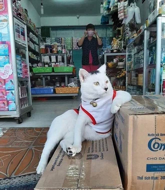 The real store owner.