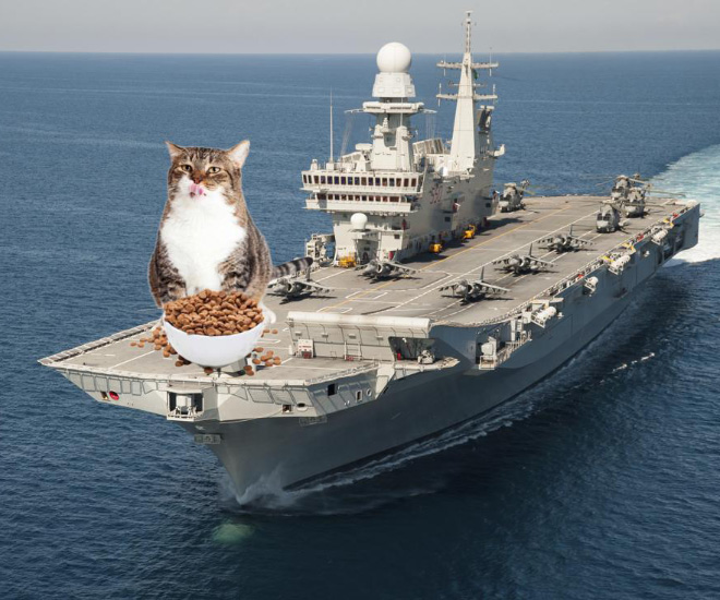 Giant military cats are the best cats.