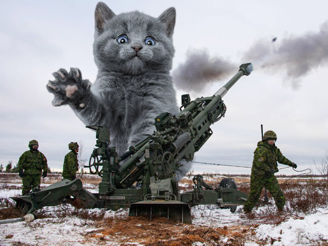 Giant military cats are the best cats.