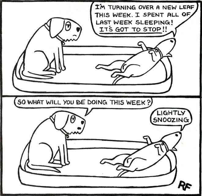 "Off The Leash" series cartoon by Rupert Fawcett.