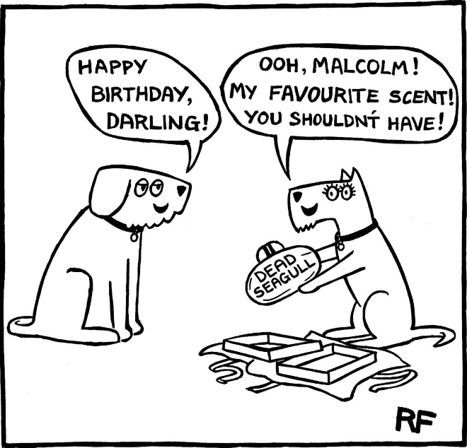 "Off The Leash" series cartoon by Rupert Fawcett.