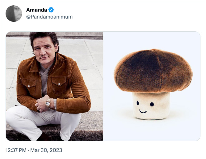 Pedro Pascal as mushrooms.