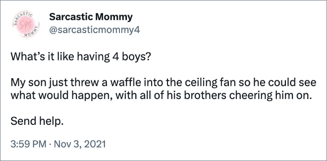 What’s it like having 4 boys? My son just threw a waffle into the ceiling fan so he could see what would happen, with all of his brothers cheering him on. Send help.