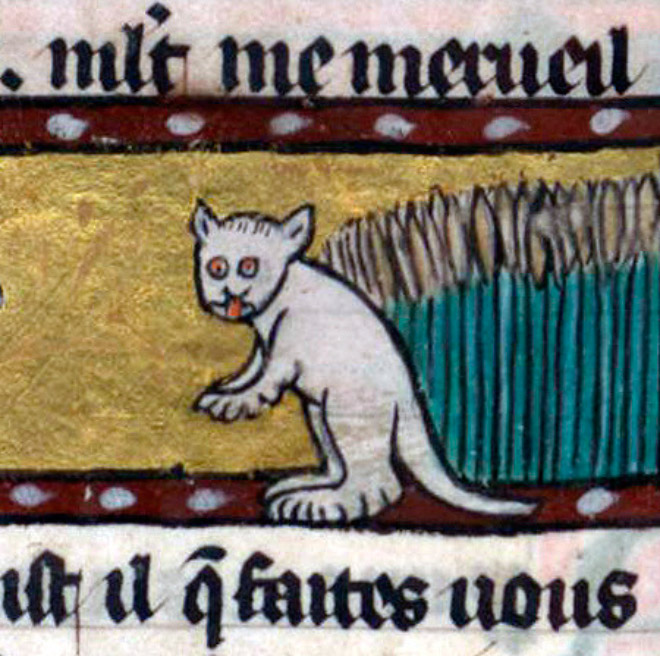 Ugly cat in medieval art.