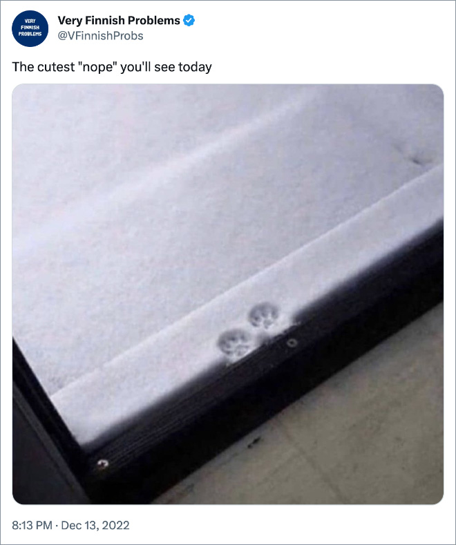 The cutest "nope" you'll see today
