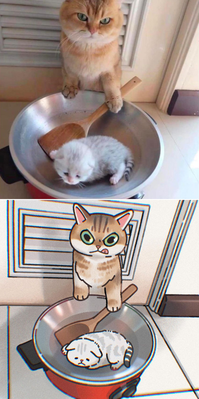 Cute cat drawing made from funny cat photo.