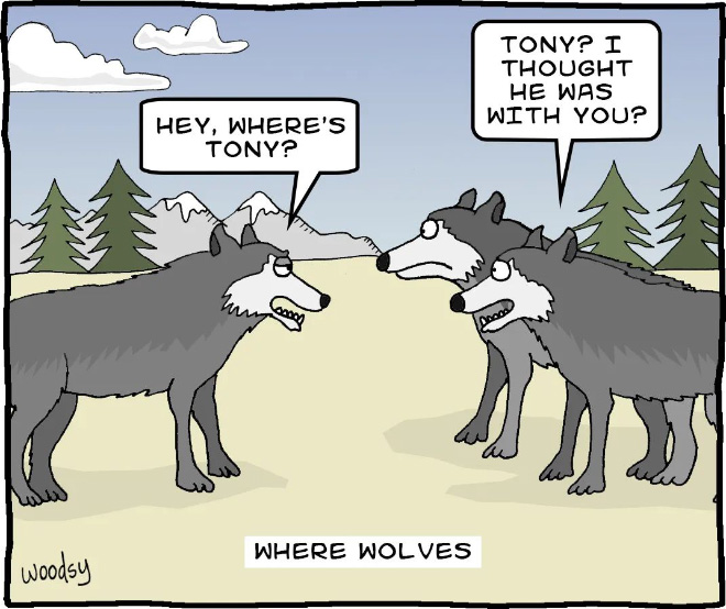 Where wolves.